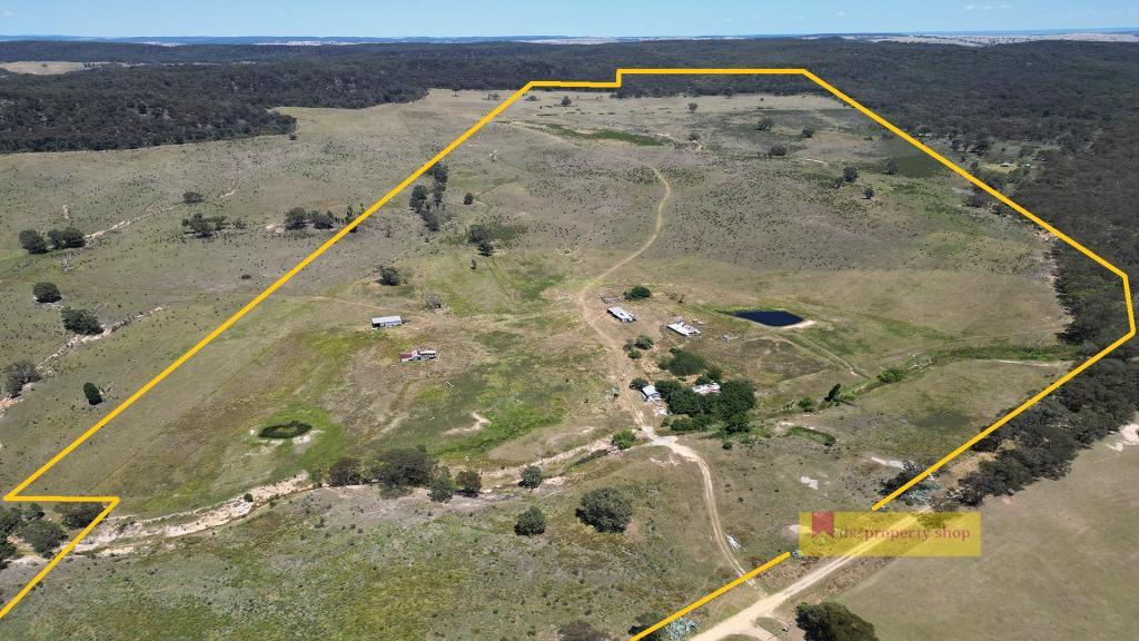 1/1921 BARNEYS REEF RD, GULGONG, NSW 2852