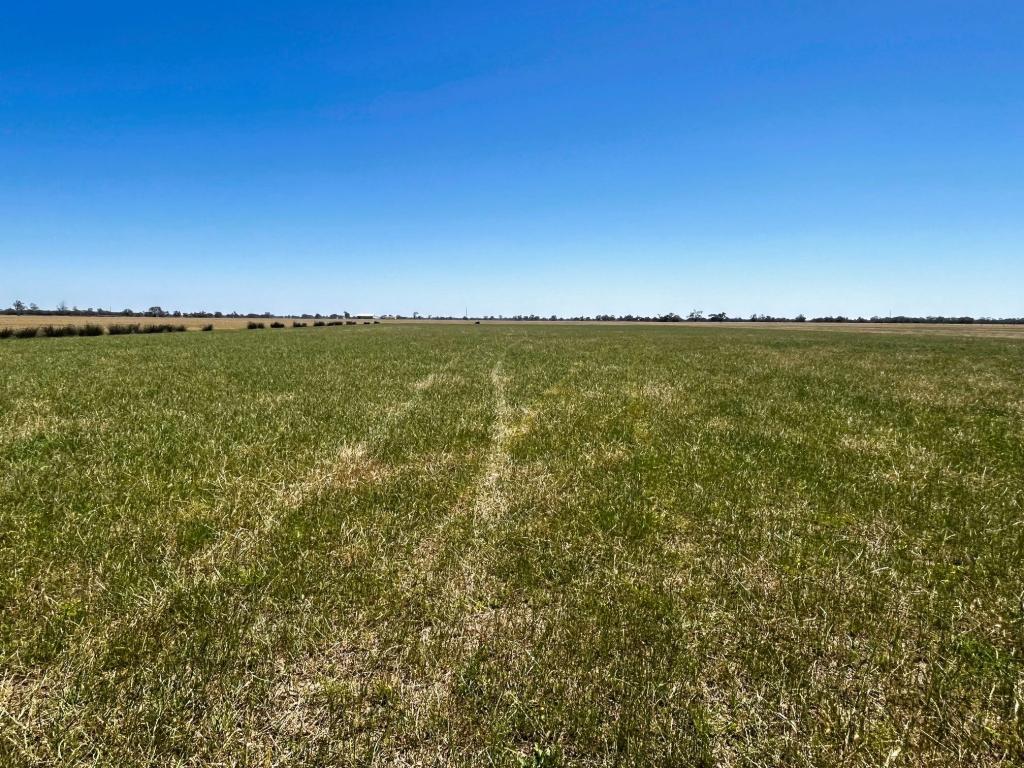 8499 Murray Valley Hwy, Kerang East, VIC 3579