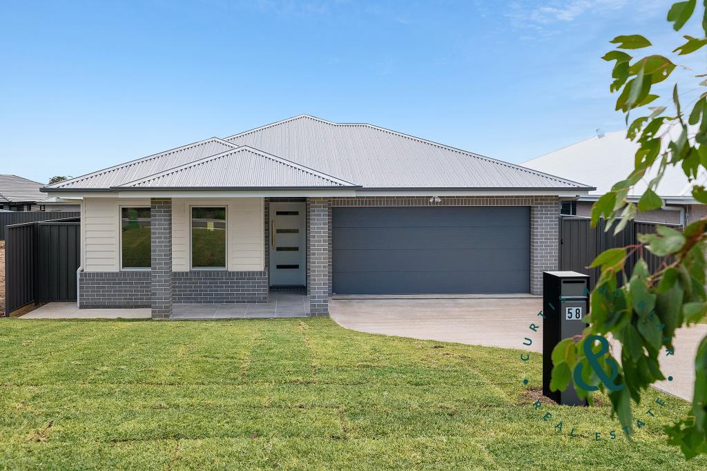 58 Macadamia Cct, Medowie, NSW 2318