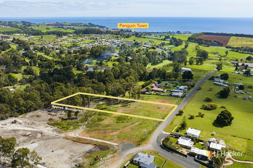 50 White Hills Rd, Penguin, TAS 7316