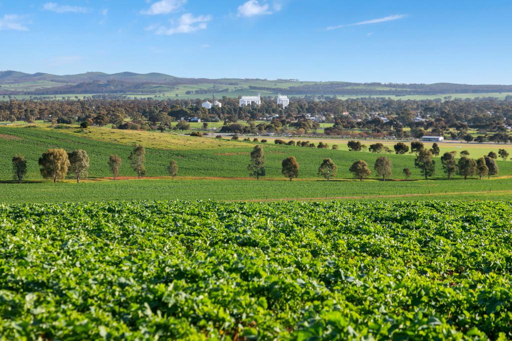 'Hamilton Run Farm' Murchland Dr, Jamestown, SA 5491
