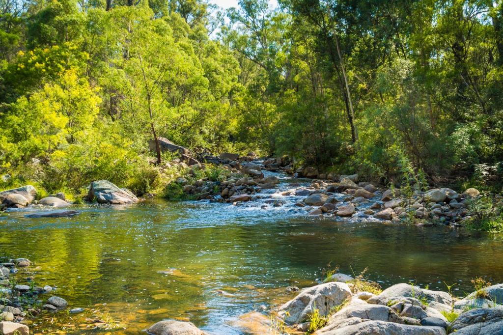 1697 Big Jack Mountain Rd, Rocky Hall, NSW 2550