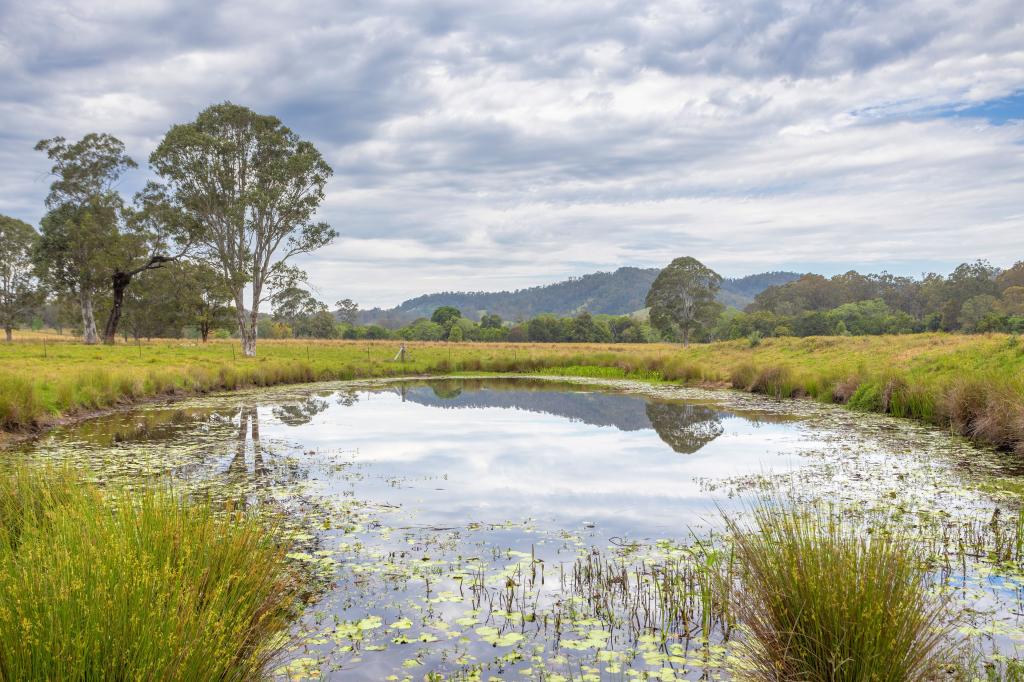 76 Stony Creek Rd, Kimbriki, NSW 2429