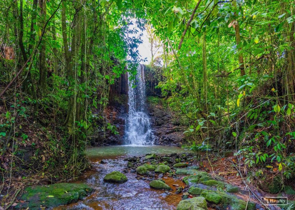 Contact Agent For Address, East Palmerston, QLD 4860