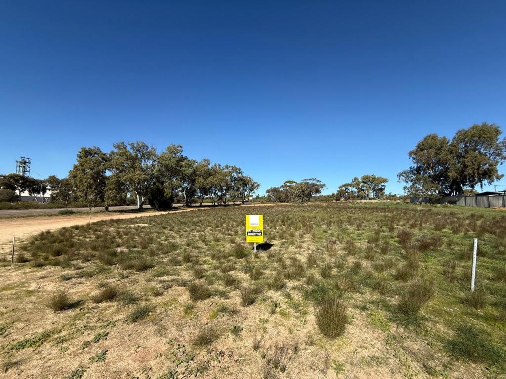 20 Ikewa St, Mingenew, WA 6522