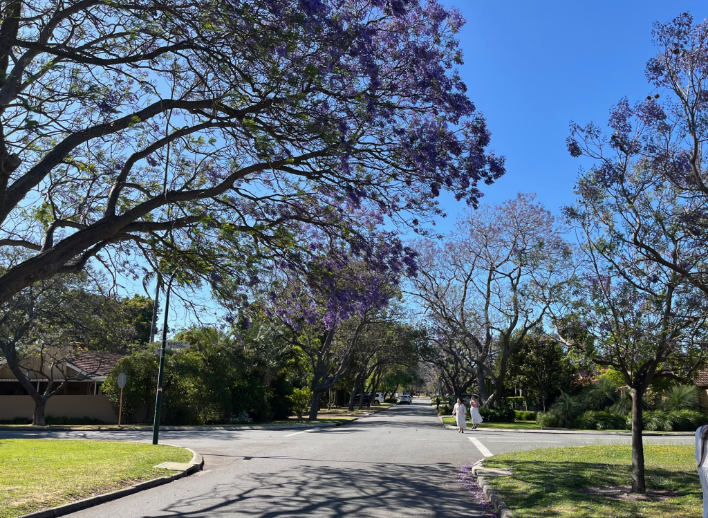 25 TAIN ST, APPLECROSS, WA 6153