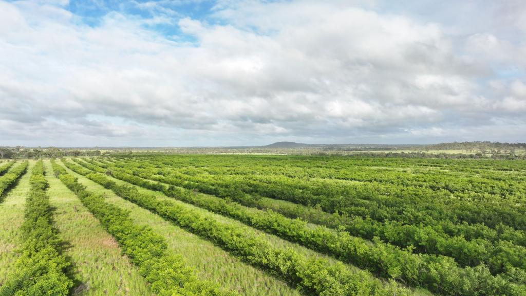 'Amatunga' Amatunga Rd, Clermont, QLD 4721