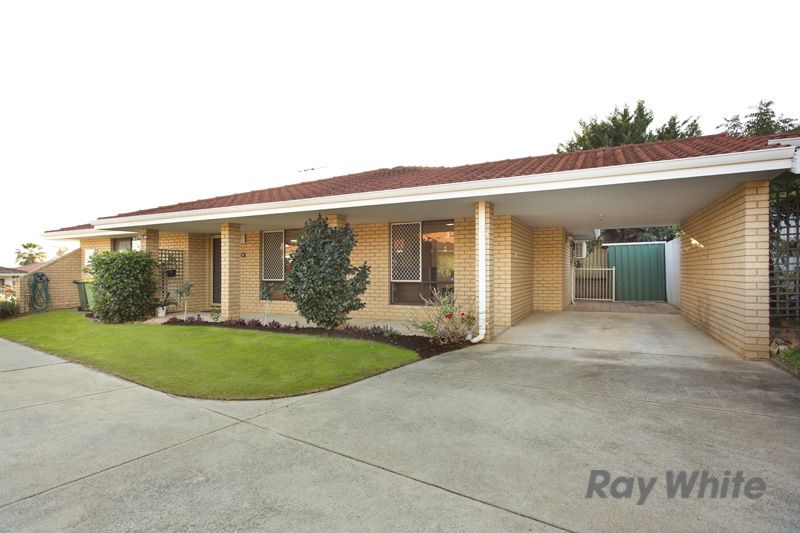 49a Hanrahan Loop, Kardinya, WA 6163