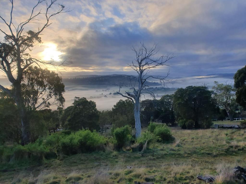 19 Jeannie Dr, Sorell, TAS 7172