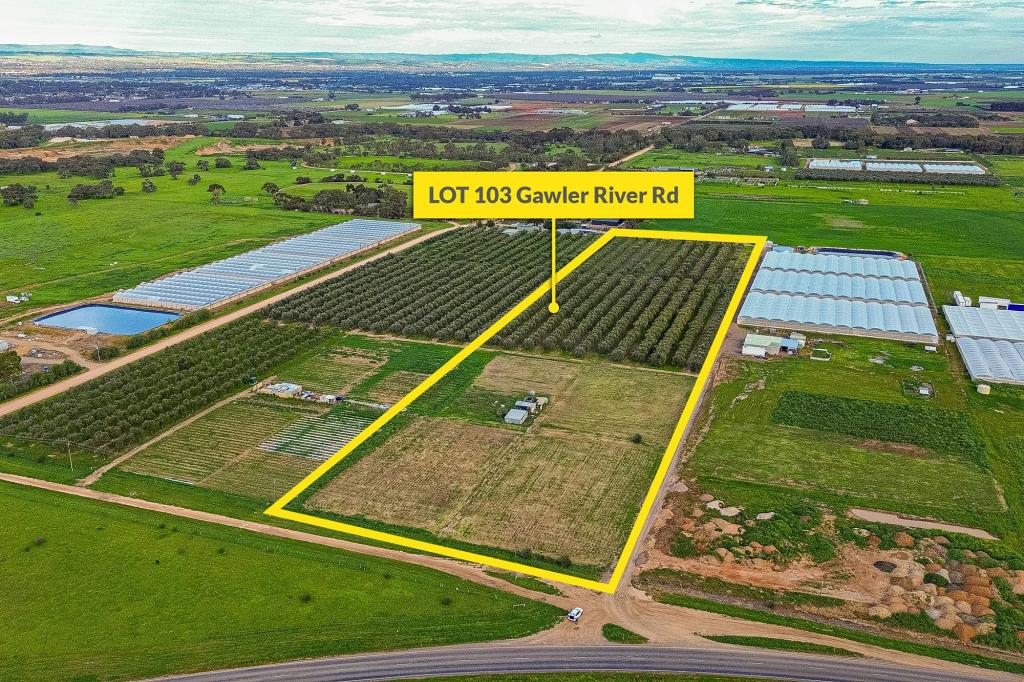 Lot 103 Gawler River Rd, Lewiston, SA 5501