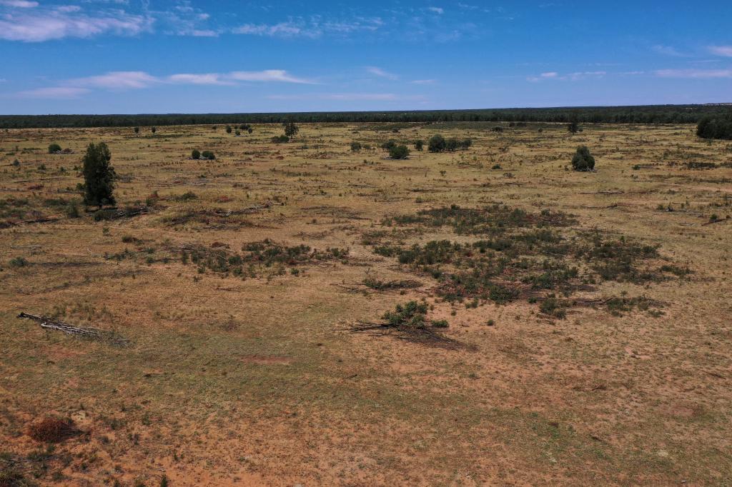 555 Yuleba Surat Rd, Yuleba, QLD 4427