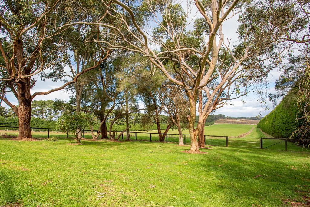 111 BARKERS RD, MAIN RIDGE, VIC 3928