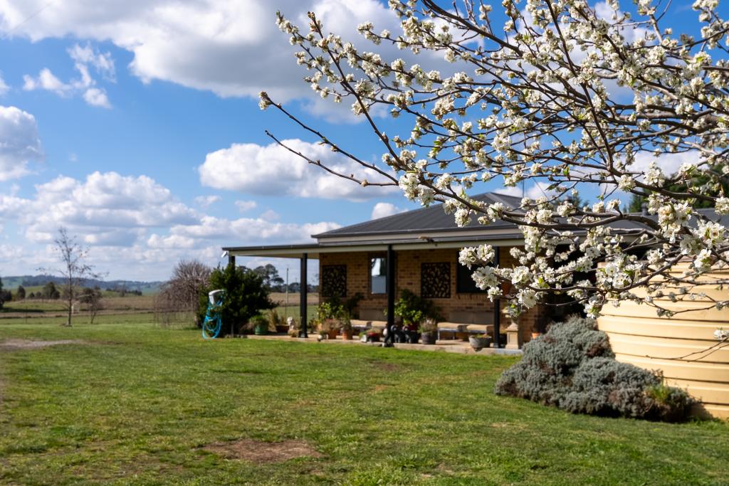 'Ashfield' 1262 Mandurama Rd, Neville, NSW 2799