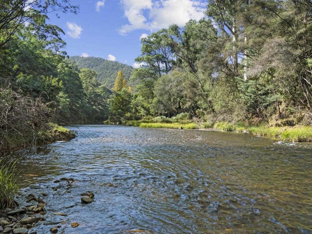 4225 Mansfield-Woods Point Rd, Jamieson, VIC 3723
