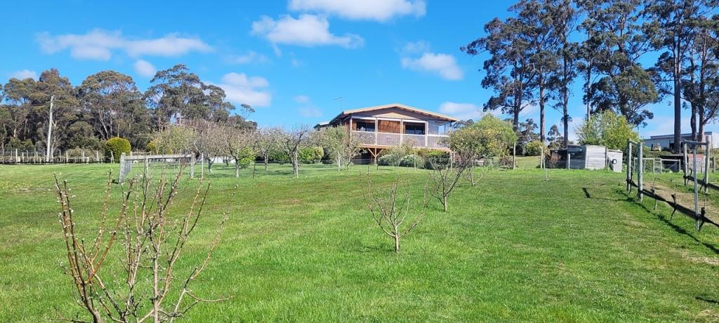 150 Hjorts Rd, Loira, TAS 7275