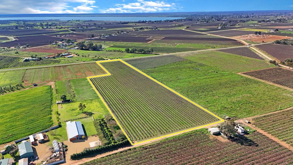 LOT 734 COATES RD, BARMERA, SA 5345