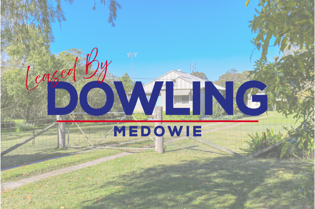 34 Ferodale Rd, Medowie, NSW 2318