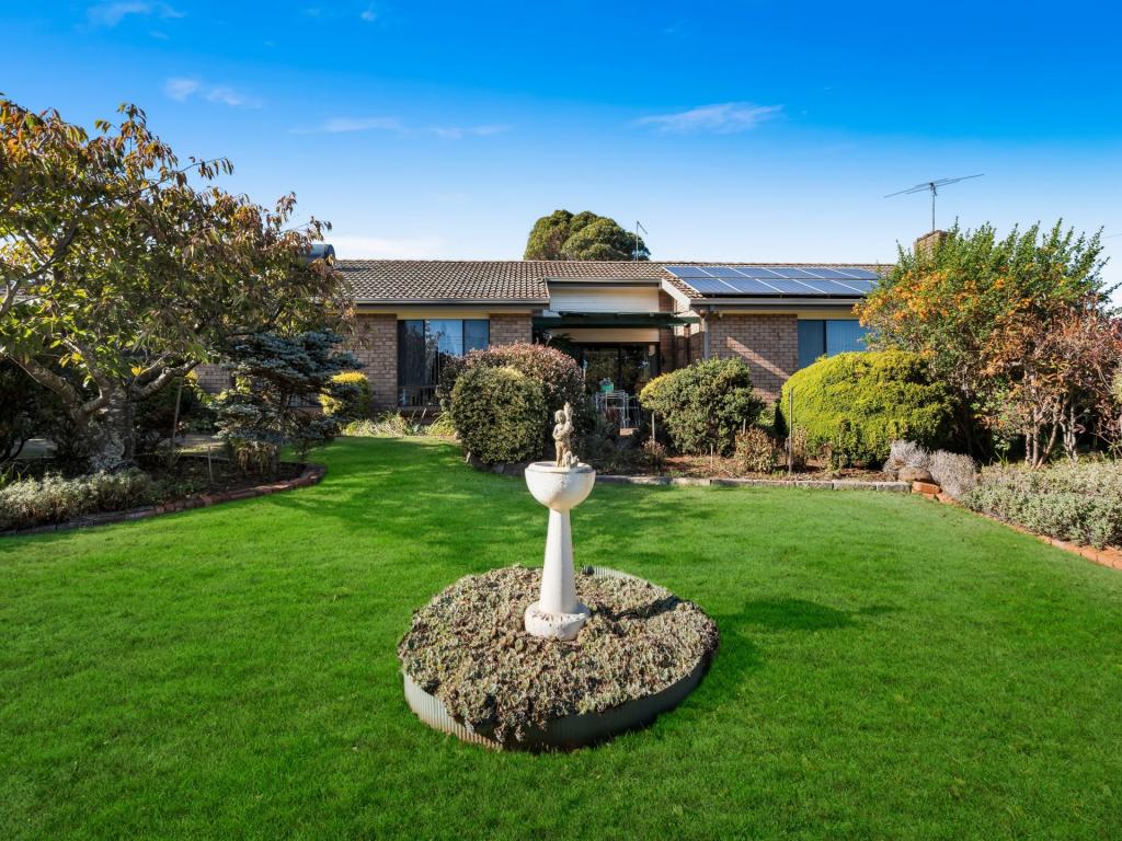 7 Reid St, Scottsdale, TAS 7260