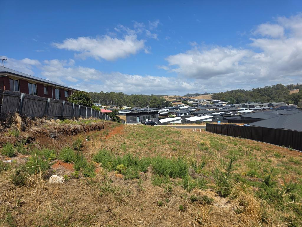 38 MILLS RD, PARK GROVE, TAS 7320