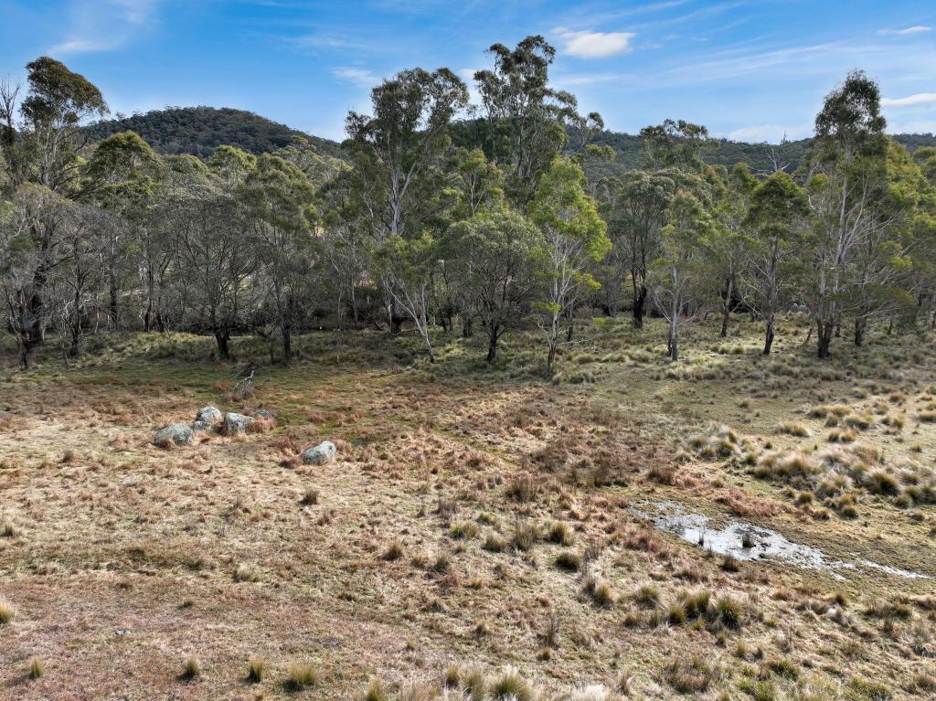 LOT 1065 CREEWAH RD, CREEWAH, NSW 2631