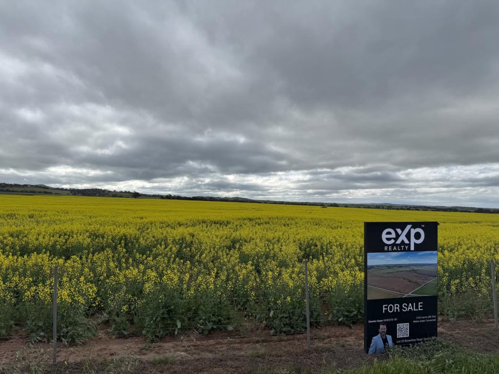 Lot 25 Brownlow Rd, Neales Flat, SA 5374