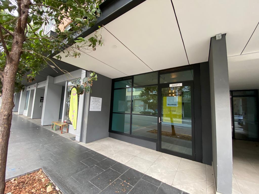 Shop1/44-46 Princes Hwy, St Peters, NSW 2044