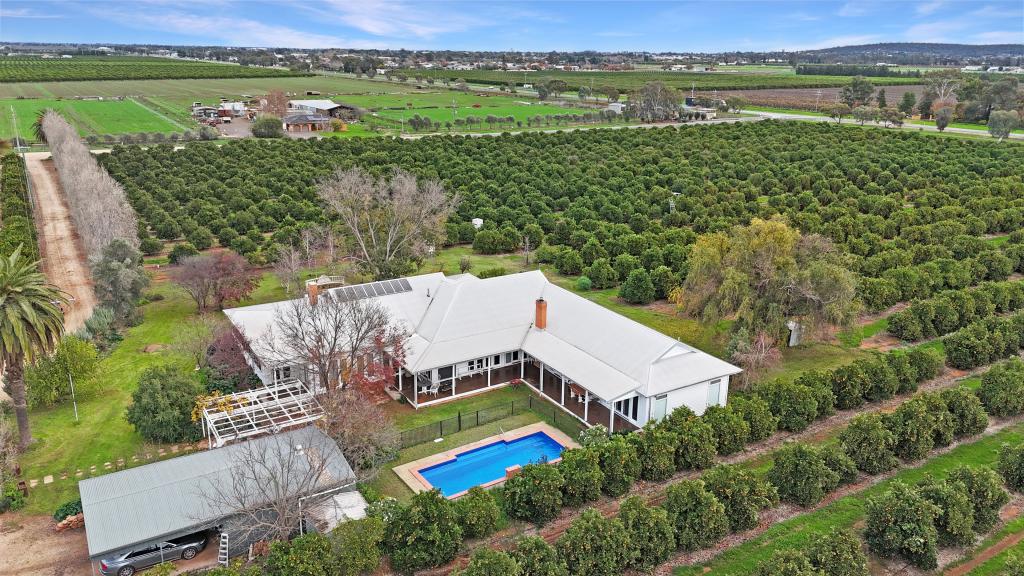 Farm 253/29 Ross Rd, Yoogali, NSW 2680