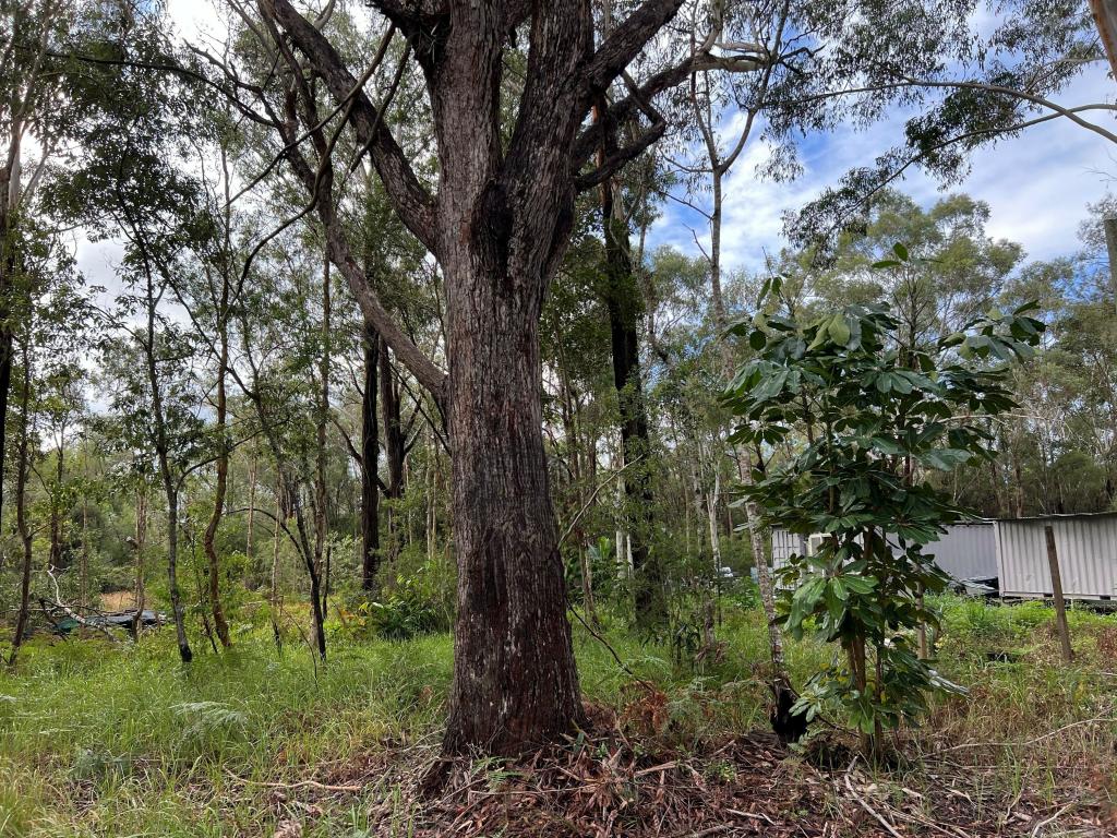 45 Grove Rd, Russell Island, QLD 4184