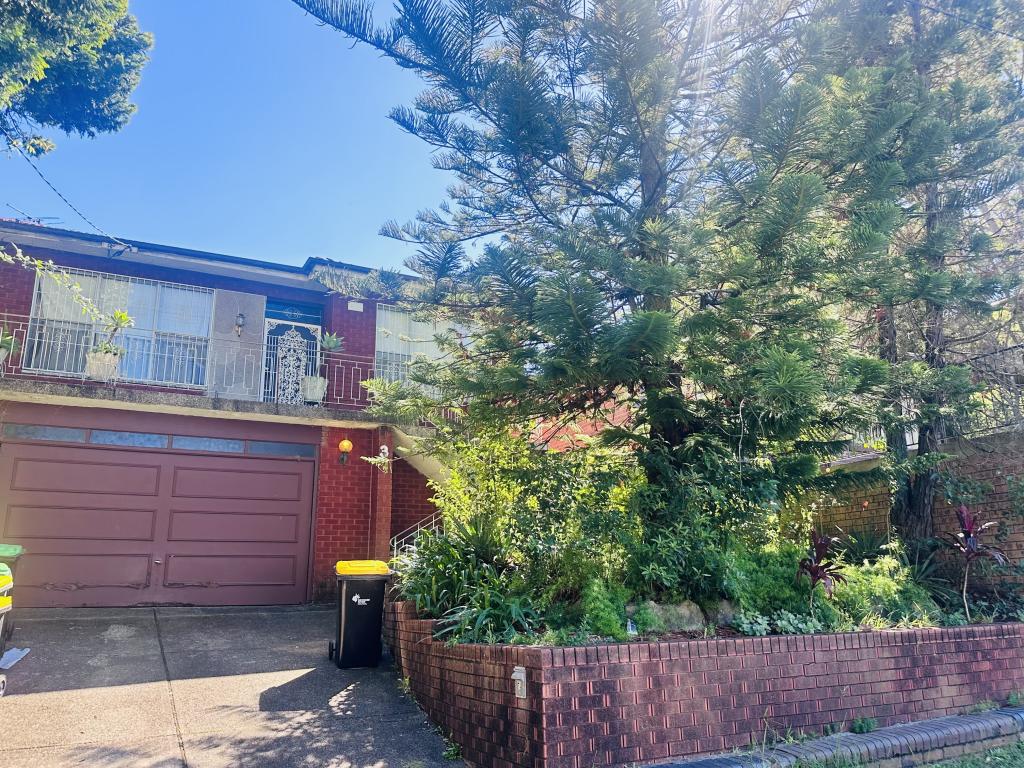 3 Hampton Court Rd, Carlton, NSW 2218