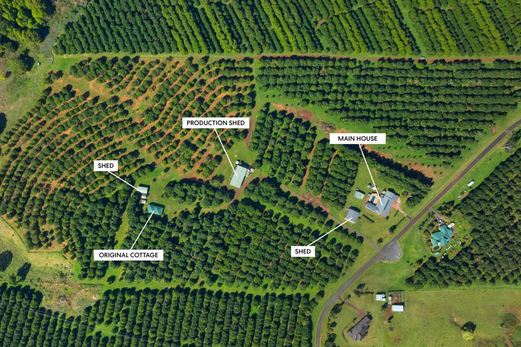 68 CONNOR RD, TREGEAGLE, NSW 2480