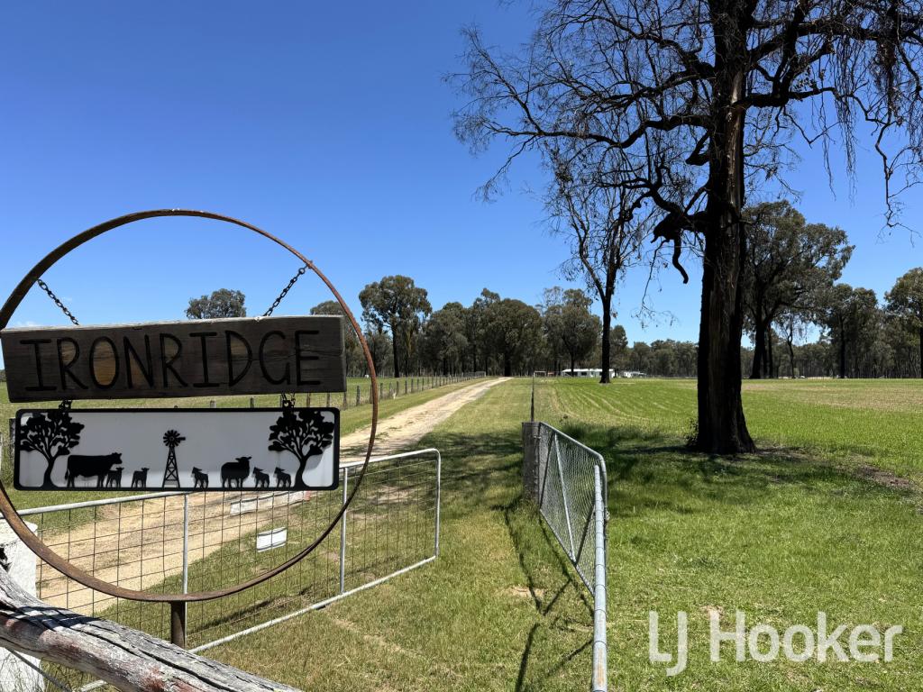 200 ABERDEEN RD, STANBOROUGH, NSW 2360