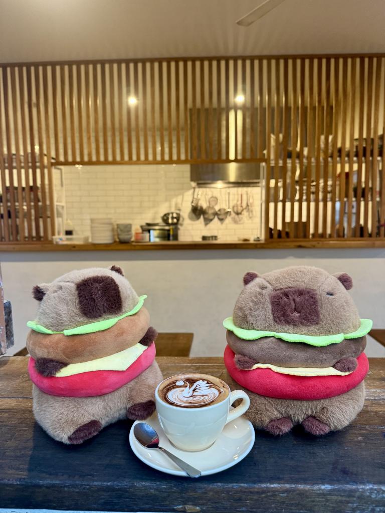 UNIT2 HIBISCUS HVN, BURLEIGH HEADS, QLD 4220