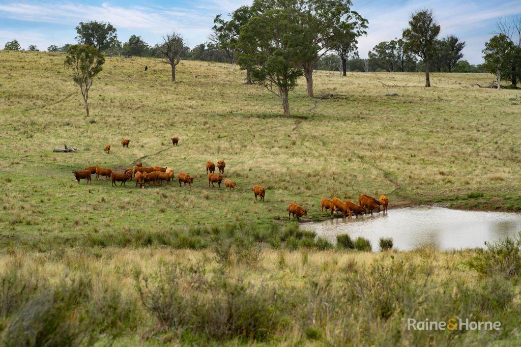 733 NIANGALA RD, WOOLBROOK, NSW 2354