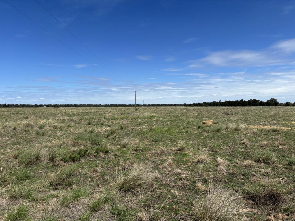 31850 Cunningham Hwy, Goondiwindi, QLD 4390