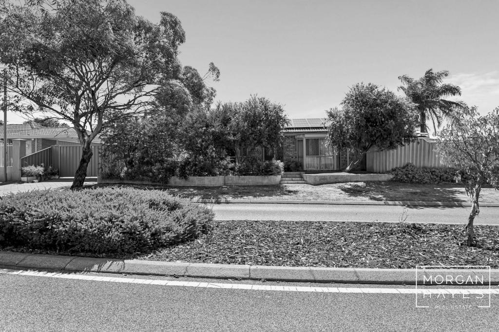 20 Dryandra Dr, Mirrabooka, WA 6061