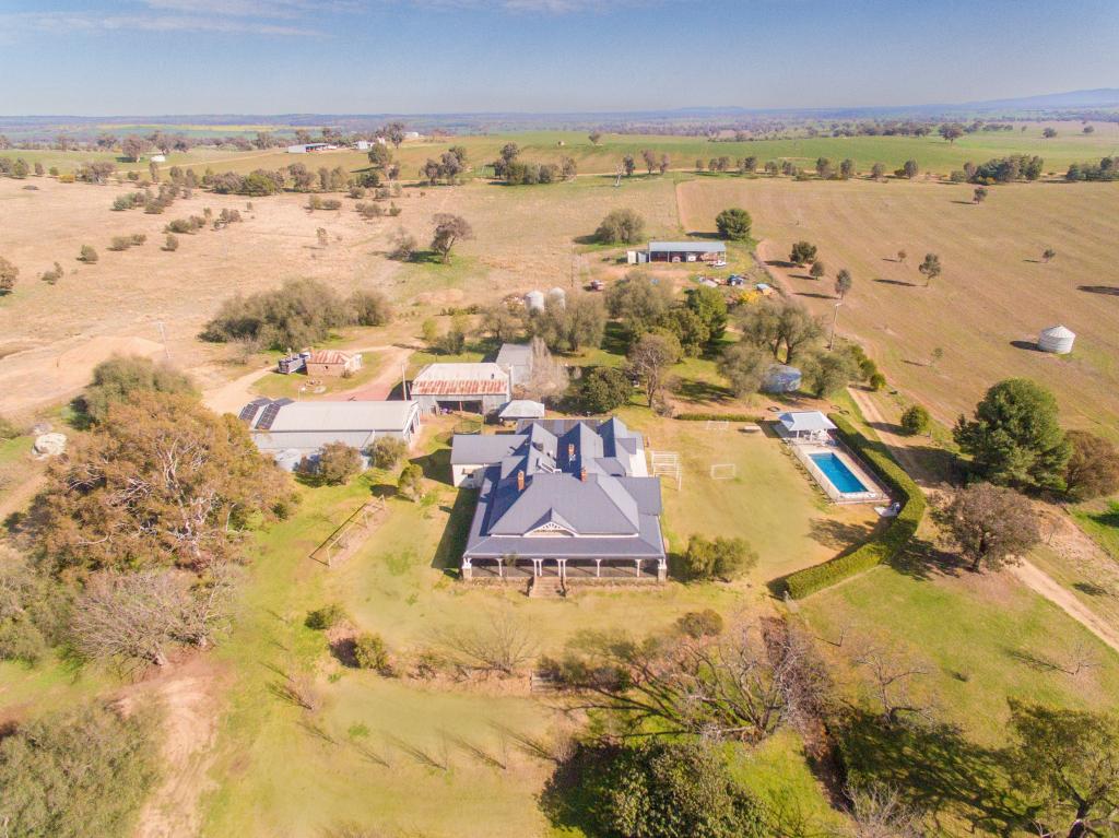 1228 JERRYBANG LANE, MONTEAGLE VIA, YOUNG, NSW 2594