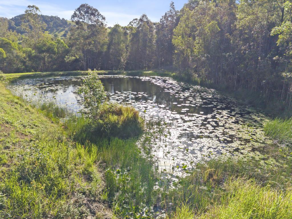 299 Kidaman Creek Rd, Kidaman Creek, QLD 4574