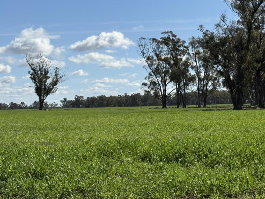 987 Boorr Hill Rd, Goonumbla, NSW 2870