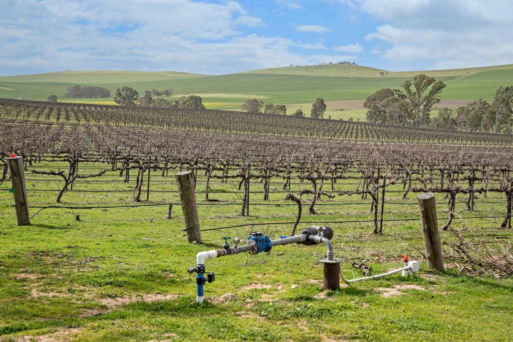 329 Barinia Rd, Barinia, SA 5453