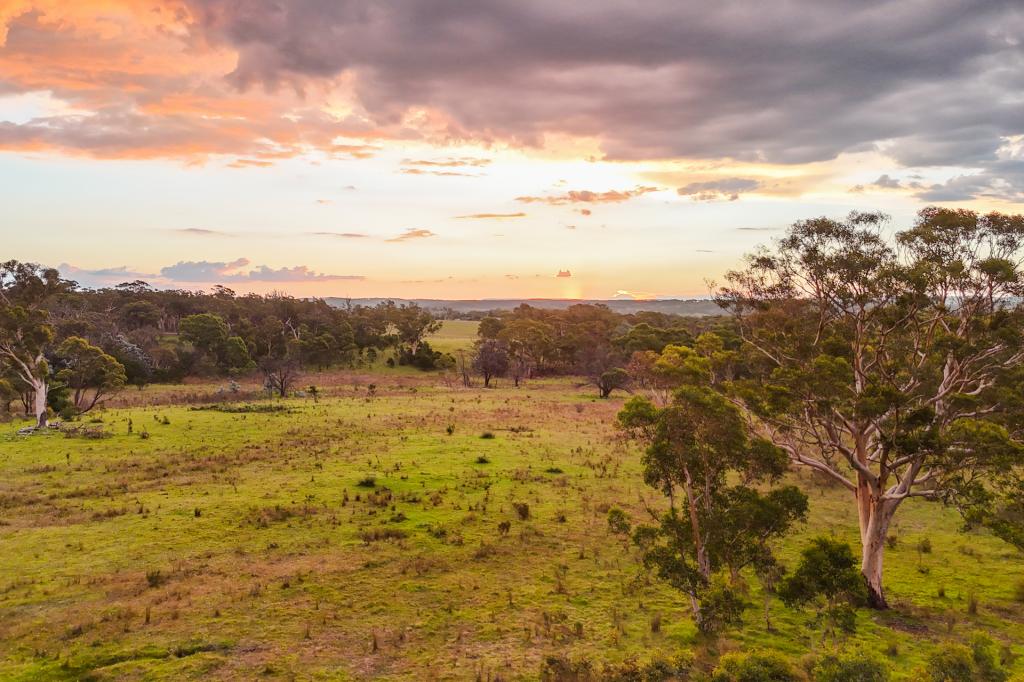 272 INVERARY RD, PADDYS RIVER, NSW 2577