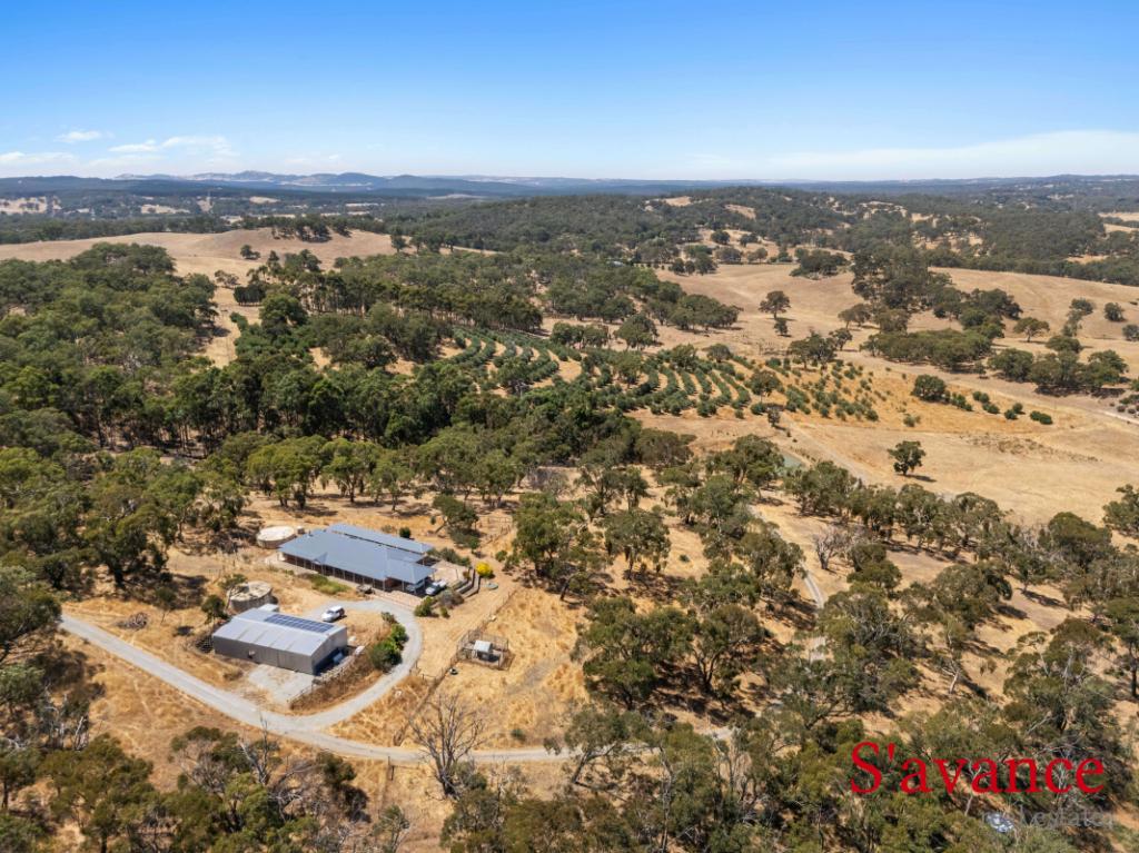203b Quinns Rd, Forreston, SA 5233