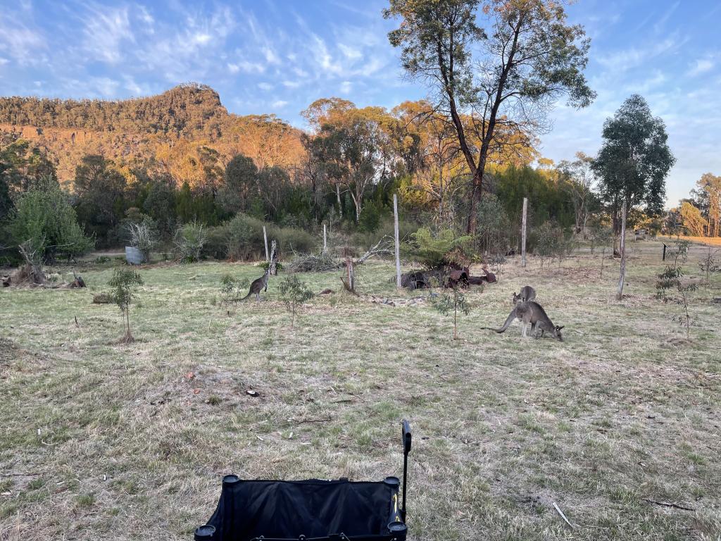 Lot 18 Kerry St, Yerranderie, NSW 2787