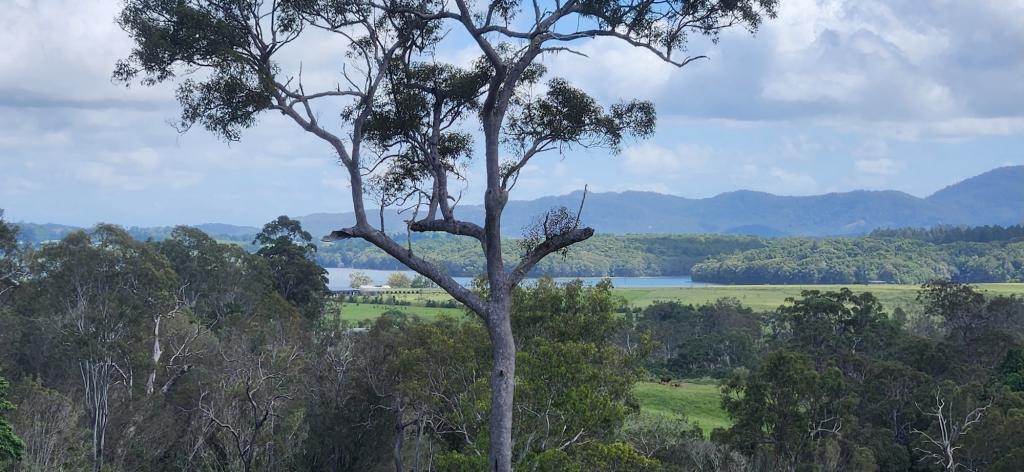 Contact agent for address, BARRINE, QLD 4872