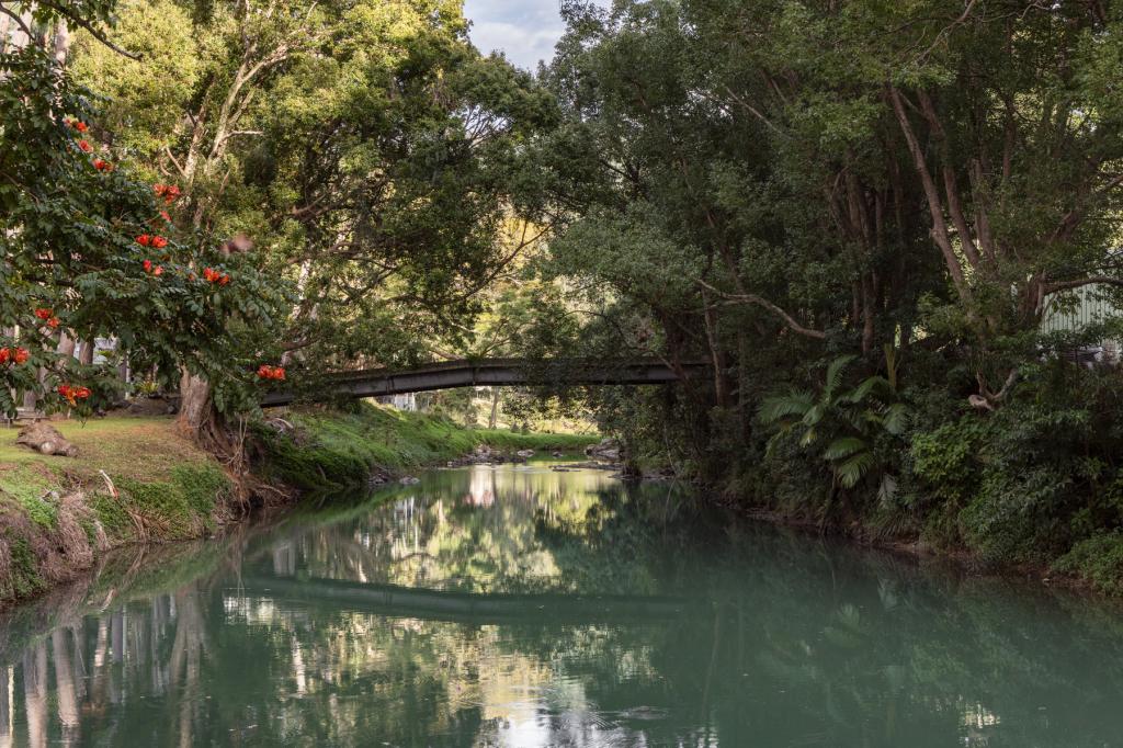 826 CURRUMBIN CREEK RD, CURRUMBIN VALLEY, QLD 4223