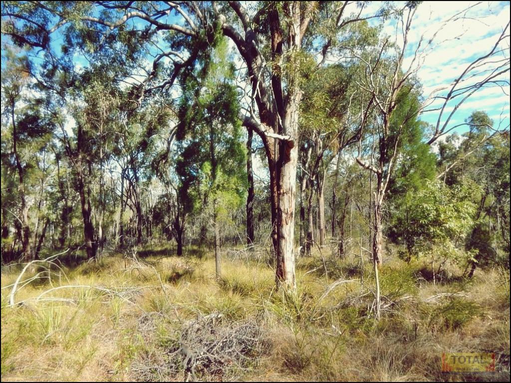 Contact Agent For Address, Condamine Farms, QLD 4357