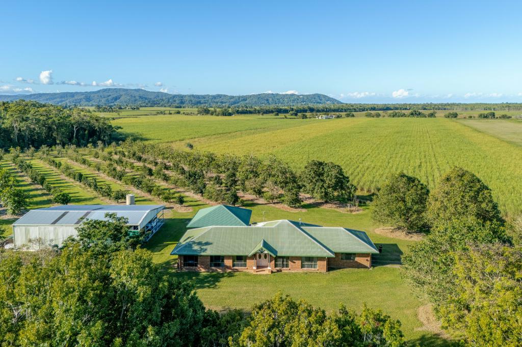 89-125 SOMERSET DR, MIALLO, QLD 4873