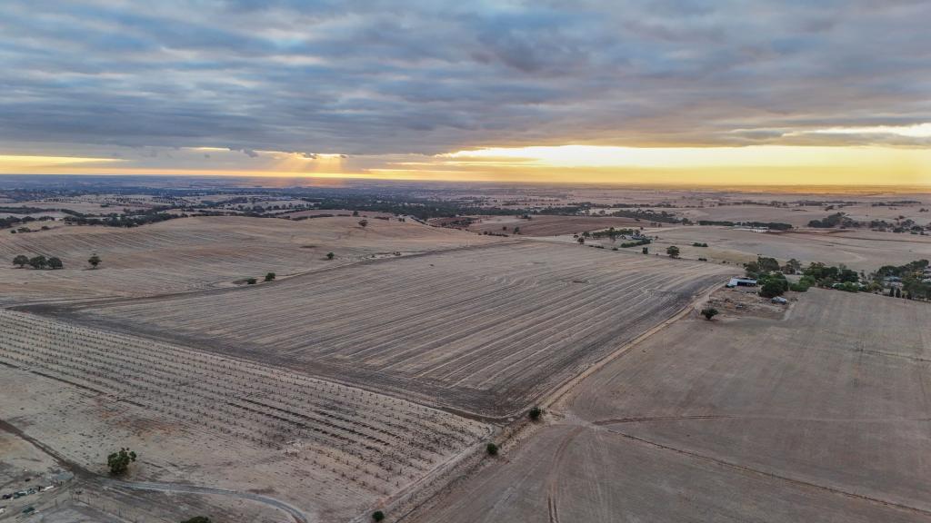 'Martins' Balmoral Rd, Cockatoo Valley, SA 5351