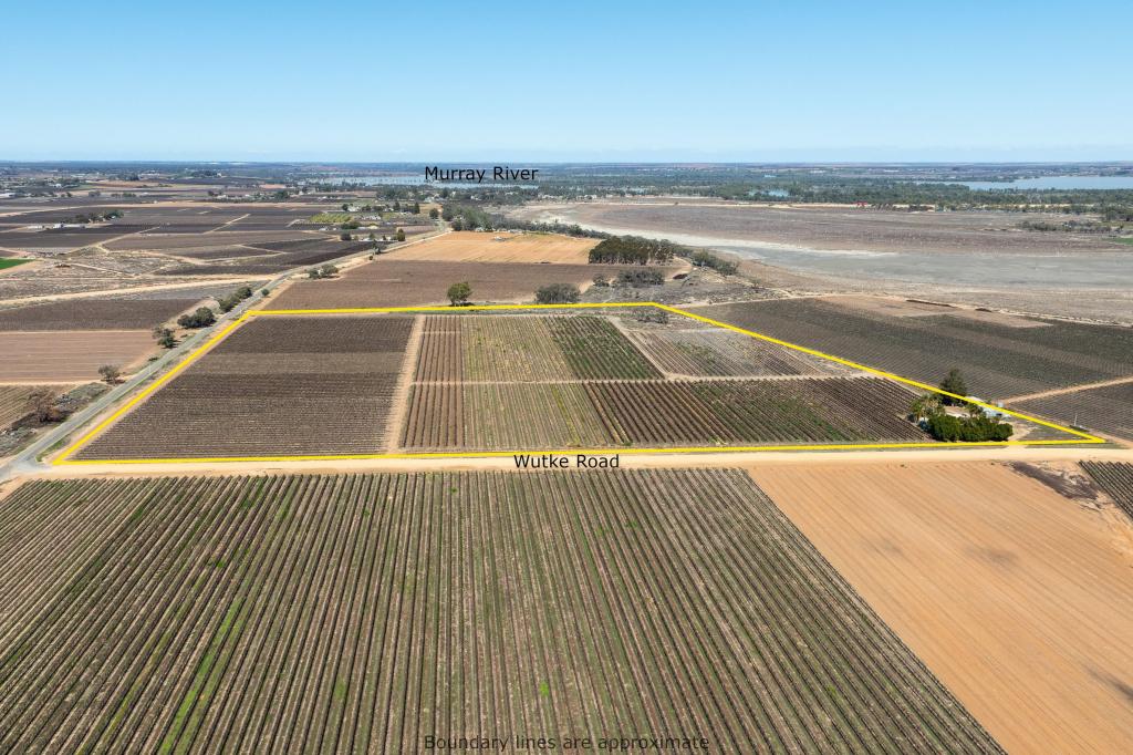 41 Wutke Rd, Cobdogla, SA 5346