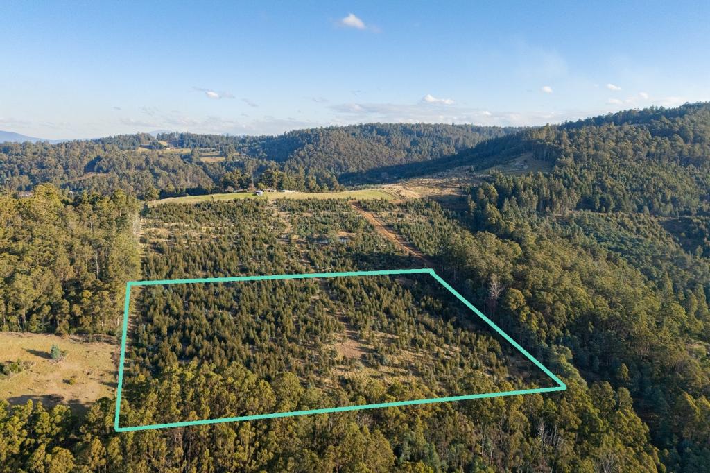 Lot 8 Paddys Lane, Franklin, TAS 7113