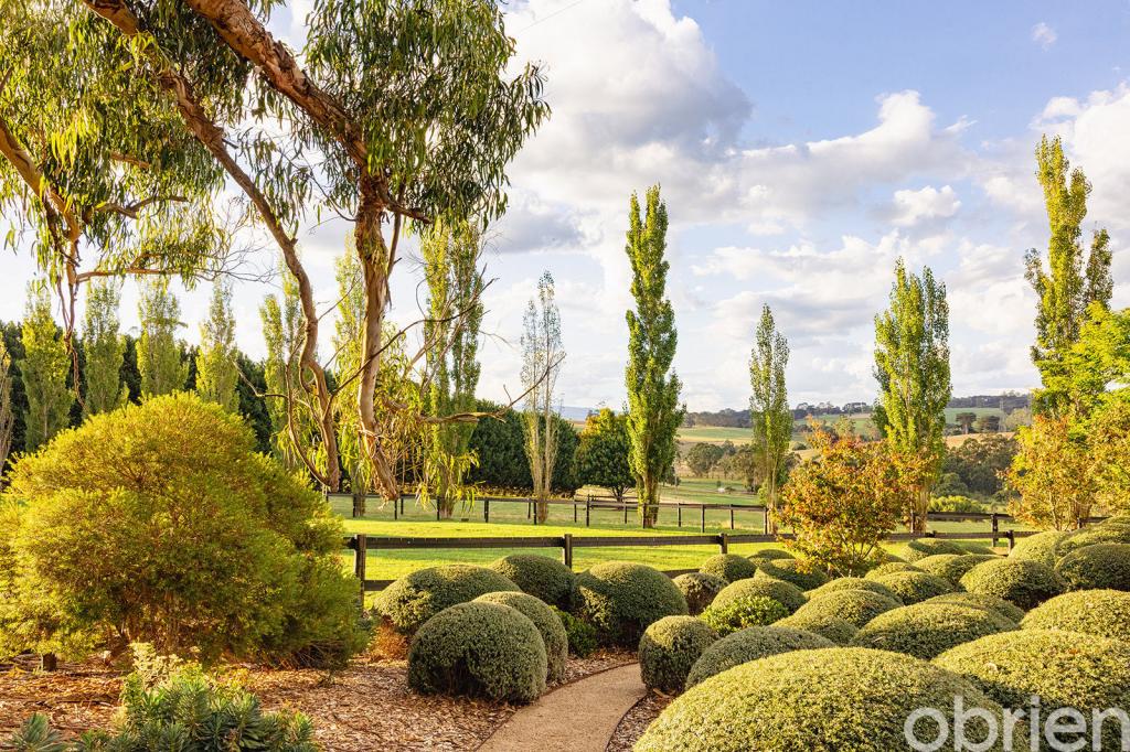 500 Copelands Rd, Lillico, VIC 3820